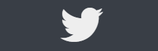 The Twitter icon as it appears on a webpage